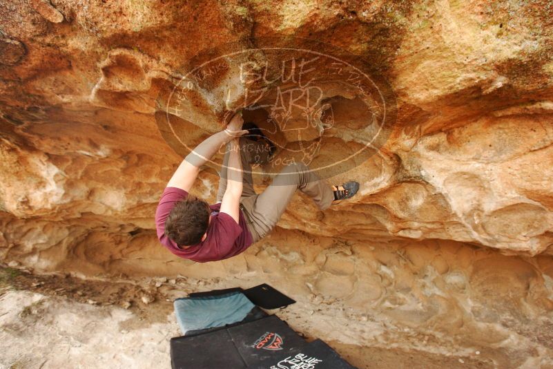 Bouldering in Hueco Tanks on 12/08/2018 with Blue Lizard Climbing and Yoga

Filename: SRM_20181208_1612510.jpg
Aperture: f/5.0
Shutter Speed: 1/250
Body: Canon EOS-1D Mark II
Lens: Canon EF 16-35mm f/2.8 L