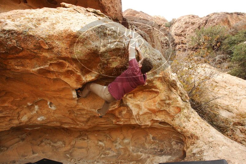 Bouldering in Hueco Tanks on 12/08/2018 with Blue Lizard Climbing and Yoga

Filename: SRM_20181208_1614590.jpg
Aperture: f/6.3
Shutter Speed: 1/250
Body: Canon EOS-1D Mark II
Lens: Canon EF 16-35mm f/2.8 L