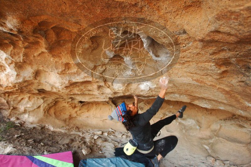 Bouldering in Hueco Tanks on 12/08/2018 with Blue Lizard Climbing and Yoga

Filename: SRM_20181208_1703591.jpg
Aperture: f/4.0
Shutter Speed: 1/250
Body: Canon EOS-1D Mark II
Lens: Canon EF 16-35mm f/2.8 L