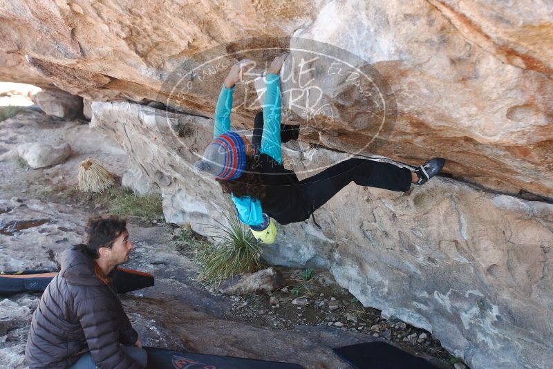 Bouldering in Hueco Tanks on 12/09/2018 with Blue Lizard Climbing and Yoga

Filename: SRM_20181209_1223330.jpg
Aperture: f/4.5
Shutter Speed: 1/250
Body: Canon EOS-1D Mark II
Lens: Canon EF 16-35mm f/2.8 L