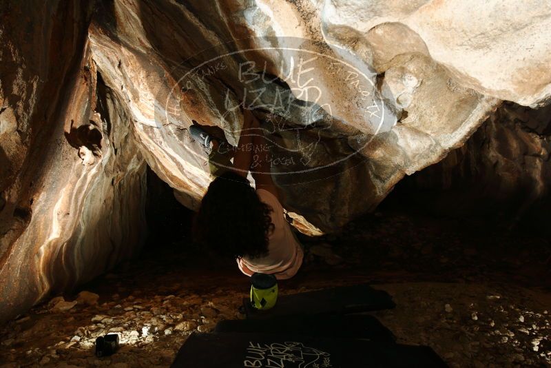 Bouldering in Hueco Tanks on 12/14/2018 with Blue Lizard Climbing and Yoga

Filename: SRM_20181214_1355330.jpg
Aperture: f/5.6
Shutter Speed: 1/250
Body: Canon EOS-1D Mark II
Lens: Canon EF 16-35mm f/2.8 L