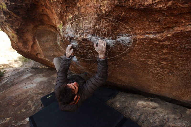 Bouldering in Hueco Tanks on 12/14/2018 with Blue Lizard Climbing and Yoga

Filename: SRM_20181214_1546260.jpg
Aperture: f/5.0
Shutter Speed: 1/250
Body: Canon EOS-1D Mark II
Lens: Canon EF 16-35mm f/2.8 L