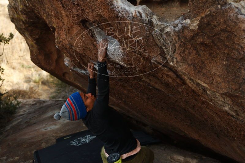 Bouldering in Hueco Tanks on 12/14/2018 with Blue Lizard Climbing and Yoga

Filename: SRM_20181214_1605022.jpg
Aperture: f/4.0
Shutter Speed: 1/250
Body: Canon EOS-1D Mark II
Lens: Canon EF 50mm f/1.8 II