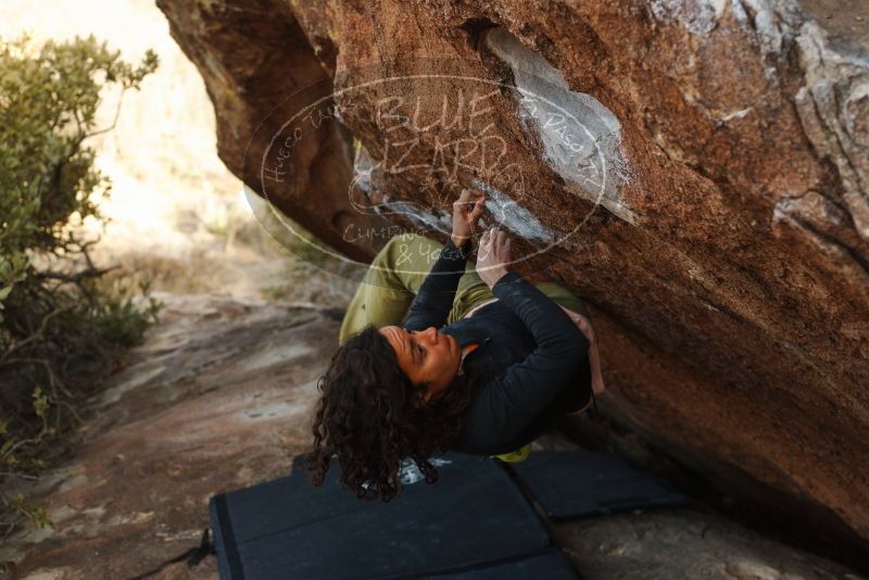 Bouldering in Hueco Tanks on 12/14/2018 with Blue Lizard Climbing and Yoga

Filename: SRM_20181214_1611520.jpg
Aperture: f/3.5
Shutter Speed: 1/250
Body: Canon EOS-1D Mark II
Lens: Canon EF 50mm f/1.8 II