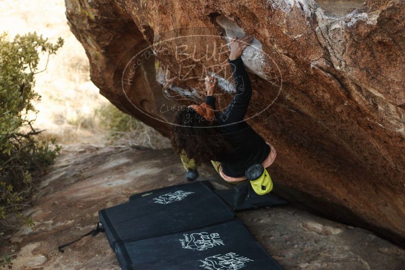 Bouldering in Hueco Tanks on 12/14/2018 with Blue Lizard Climbing and Yoga

Filename: SRM_20181214_1613441.jpg
Aperture: f/3.5
Shutter Speed: 1/250
Body: Canon EOS-1D Mark II
Lens: Canon EF 50mm f/1.8 II