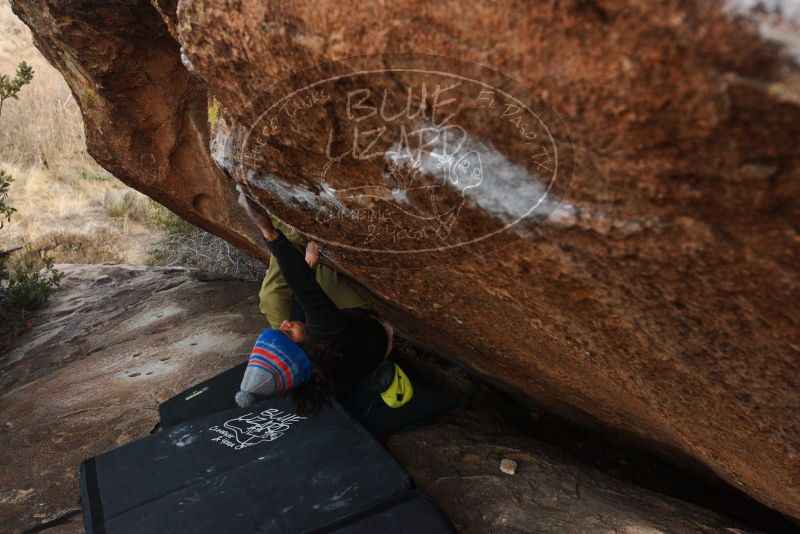 Bouldering in Hueco Tanks on 12/14/2018 with Blue Lizard Climbing and Yoga

Filename: SRM_20181214_1657200.jpg
Aperture: f/5.0
Shutter Speed: 1/250
Body: Canon EOS-1D Mark II
Lens: Canon EF 16-35mm f/2.8 L