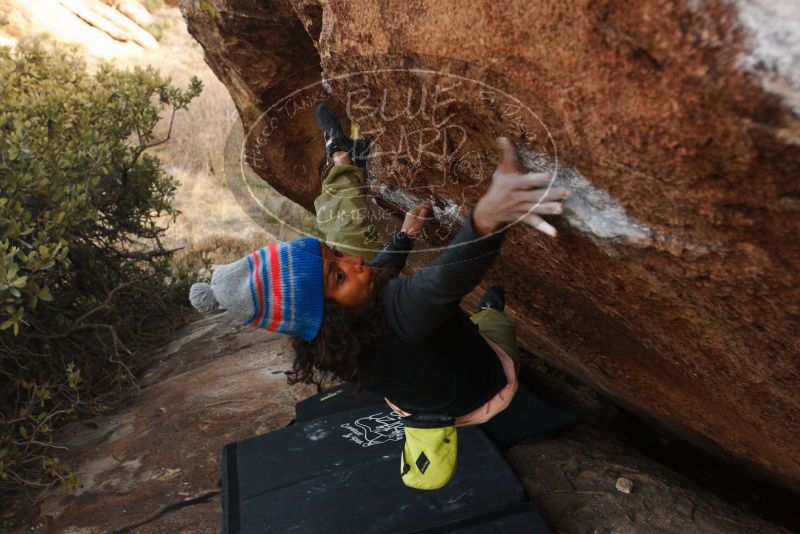 Bouldering in Hueco Tanks on 12/14/2018 with Blue Lizard Climbing and Yoga

Filename: SRM_20181214_1659030.jpg
Aperture: f/5.0
Shutter Speed: 1/250
Body: Canon EOS-1D Mark II
Lens: Canon EF 16-35mm f/2.8 L