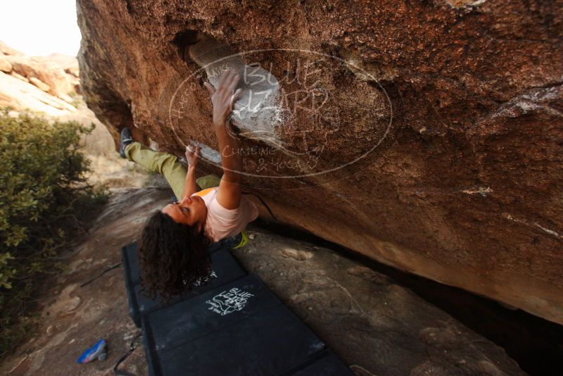 Bouldering in Hueco Tanks on 12/14/2018 with Blue Lizard Climbing and Yoga

Filename: SRM_20181214_1700580.jpg
Aperture: f/5.0
Shutter Speed: 1/250
Body: Canon EOS-1D Mark II
Lens: Canon EF 16-35mm f/2.8 L