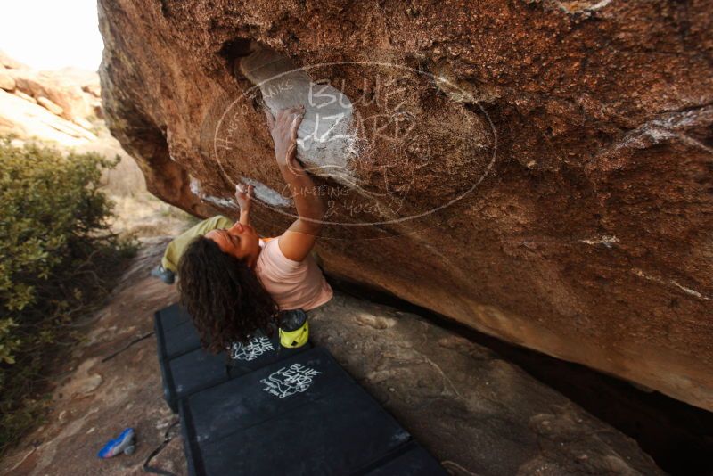 Bouldering in Hueco Tanks on 12/14/2018 with Blue Lizard Climbing and Yoga

Filename: SRM_20181214_1700581.jpg
Aperture: f/5.0
Shutter Speed: 1/250
Body: Canon EOS-1D Mark II
Lens: Canon EF 16-35mm f/2.8 L