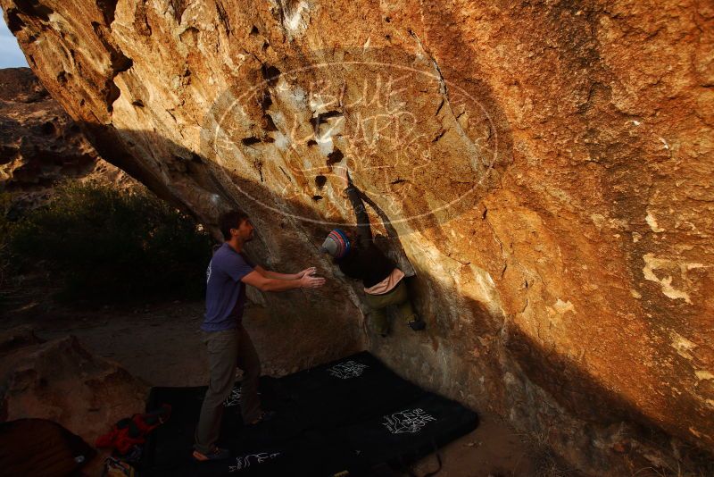 Bouldering in Hueco Tanks on 12/14/2018 with Blue Lizard Climbing and Yoga

Filename: SRM_20181214_1735260.jpg
Aperture: f/4.5
Shutter Speed: 1/250
Body: Canon EOS-1D Mark II
Lens: Canon EF 16-35mm f/2.8 L