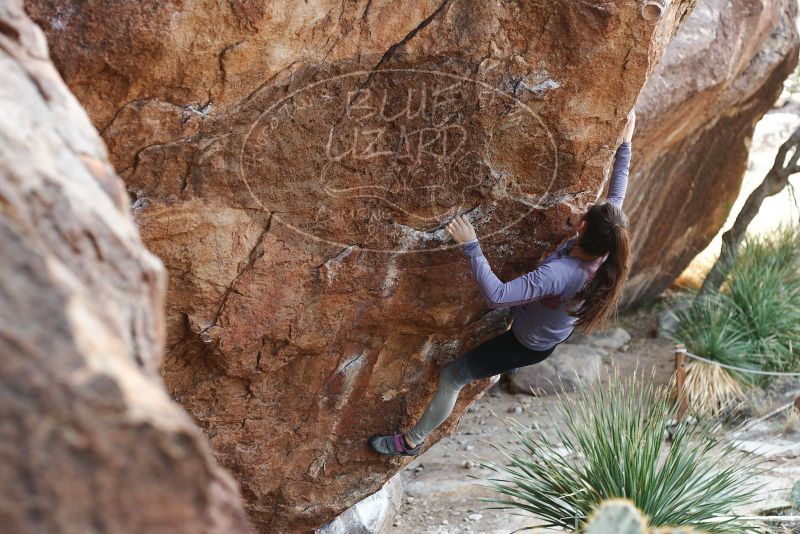 Bouldering in Hueco Tanks on 12/21/2018 with Blue Lizard Climbing and Yoga

Filename: SRM_20181221_1206570.jpg
Aperture: f/3.2
Shutter Speed: 1/320
Body: Canon EOS-1D Mark II
Lens: Canon EF 50mm f/1.8 II