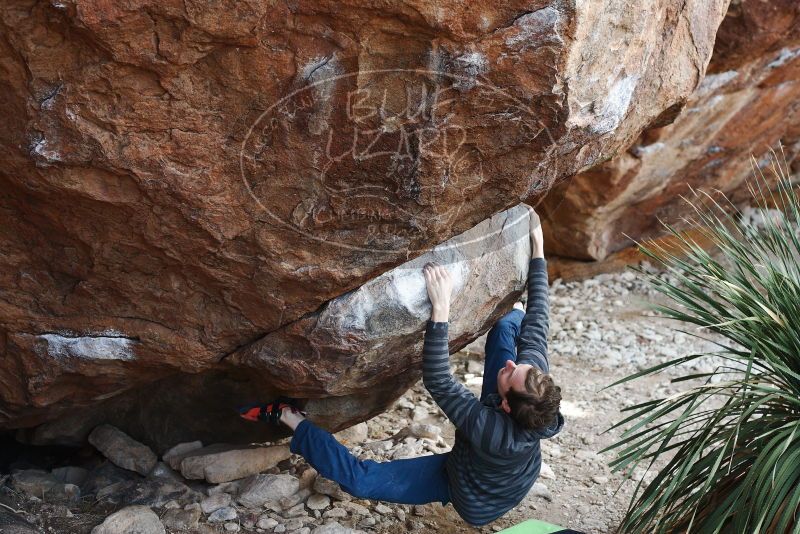 Bouldering in Hueco Tanks on 12/21/2018 with Blue Lizard Climbing and Yoga

Filename: SRM_20181221_1209130.jpg
Aperture: f/3.5
Shutter Speed: 1/320
Body: Canon EOS-1D Mark II
Lens: Canon EF 50mm f/1.8 II