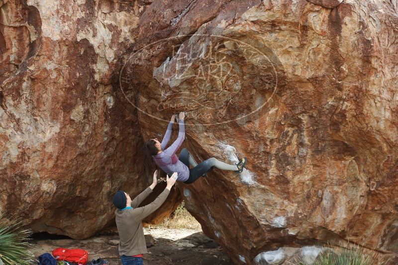 Bouldering in Hueco Tanks on 12/21/2018 with Blue Lizard Climbing and Yoga

Filename: SRM_20181221_1218270.jpg
Aperture: f/5.6
Shutter Speed: 1/320
Body: Canon EOS-1D Mark II
Lens: Canon EF 50mm f/1.8 II