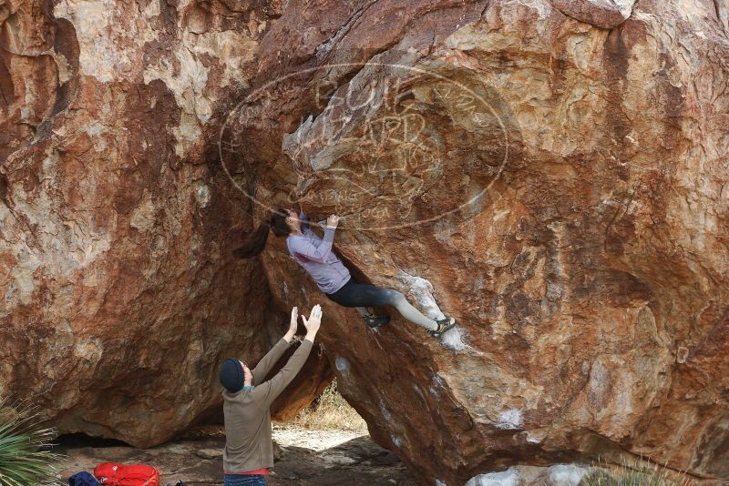 Bouldering in Hueco Tanks on 12/21/2018 with Blue Lizard Climbing and Yoga

Filename: SRM_20181221_1218290.jpg
Aperture: f/5.6
Shutter Speed: 1/320
Body: Canon EOS-1D Mark II
Lens: Canon EF 50mm f/1.8 II