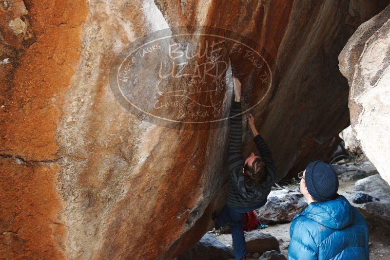 Bouldering in Hueco Tanks on 12/21/2018 with Blue Lizard Climbing and Yoga

Filename: SRM_20181221_1502020.jpg
Aperture: f/4.5
Shutter Speed: 1/250
Body: Canon EOS-1D Mark II
Lens: Canon EF 16-35mm f/2.8 L