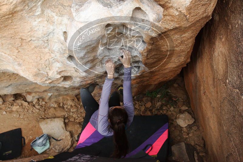 Bouldering in Hueco Tanks on 12/21/2018 with Blue Lizard Climbing and Yoga

Filename: SRM_20181221_1522190.jpg
Aperture: f/6.3
Shutter Speed: 1/320
Body: Canon EOS-1D Mark II
Lens: Canon EF 16-35mm f/2.8 L