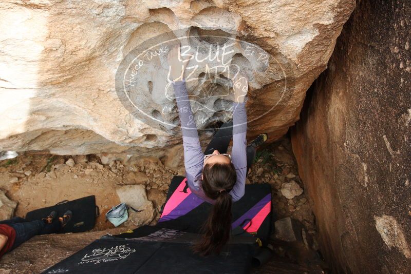 Bouldering in Hueco Tanks on 12/21/2018 with Blue Lizard Climbing and Yoga

Filename: SRM_20181221_1522250.jpg
Aperture: f/5.6
Shutter Speed: 1/320
Body: Canon EOS-1D Mark II
Lens: Canon EF 16-35mm f/2.8 L