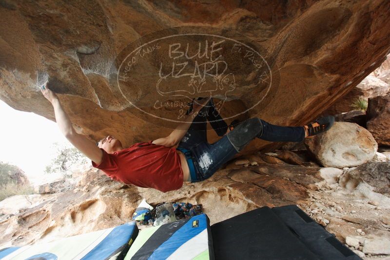 Bouldering in Hueco Tanks on 12/21/2018 with Blue Lizard Climbing and Yoga

Filename: SRM_20181221_1629130.jpg
Aperture: f/3.5
Shutter Speed: 1/250
Body: Canon EOS-1D Mark II
Lens: Canon EF 16-35mm f/2.8 L