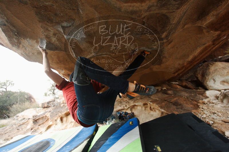 Bouldering in Hueco Tanks on 12/21/2018 with Blue Lizard Climbing and Yoga

Filename: SRM_20181221_1629210.jpg
Aperture: f/4.0
Shutter Speed: 1/250
Body: Canon EOS-1D Mark II
Lens: Canon EF 16-35mm f/2.8 L