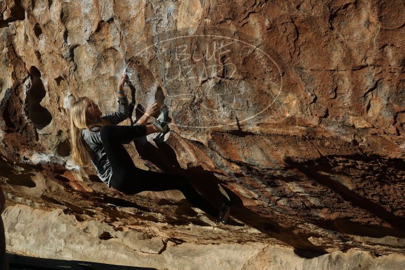 Bouldering in Hueco Tanks on 12/22/2018 with Blue Lizard Climbing and Yoga

Filename: SRM_20181222_1008480.jpg
Aperture: f/4.0
Shutter Speed: 1/1250
Body: Canon EOS-1D Mark II
Lens: Canon EF 50mm f/1.8 II