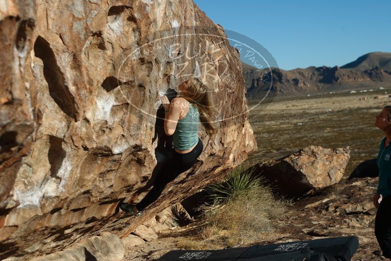 Bouldering in Hueco Tanks on 12/22/2018 with Blue Lizard Climbing and Yoga

Filename: SRM_20181222_1014320.jpg
Aperture: f/4.0
Shutter Speed: 1/1000
Body: Canon EOS-1D Mark II
Lens: Canon EF 50mm f/1.8 II