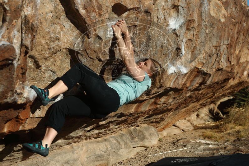 Bouldering in Hueco Tanks on 12/22/2018 with Blue Lizard Climbing and Yoga

Filename: SRM_20181222_1018300.jpg
Aperture: f/4.0
Shutter Speed: 1/1250
Body: Canon EOS-1D Mark II
Lens: Canon EF 50mm f/1.8 II