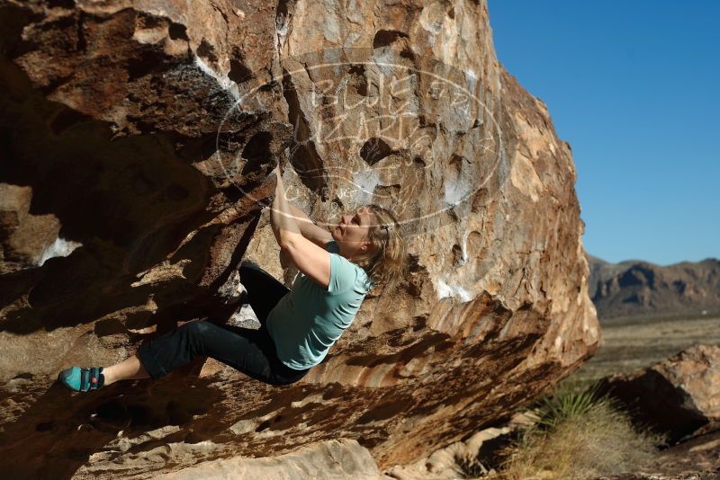 Bouldering in Hueco Tanks on 12/22/2018 with Blue Lizard Climbing and Yoga

Filename: SRM_20181222_1026360.jpg
Aperture: f/4.0
Shutter Speed: 1/1000
Body: Canon EOS-1D Mark II
Lens: Canon EF 50mm f/1.8 II