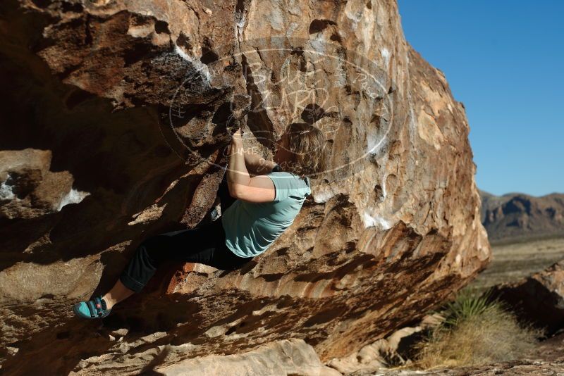 Bouldering in Hueco Tanks on 12/22/2018 with Blue Lizard Climbing and Yoga

Filename: SRM_20181222_1026500.jpg
Aperture: f/4.0
Shutter Speed: 1/800
Body: Canon EOS-1D Mark II
Lens: Canon EF 50mm f/1.8 II