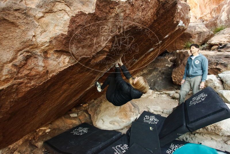 Bouldering in Hueco Tanks on 12/22/2018 with Blue Lizard Climbing and Yoga

Filename: SRM_20181222_1057480.jpg
Aperture: f/4.0
Shutter Speed: 1/250
Body: Canon EOS-1D Mark II
Lens: Canon EF 16-35mm f/2.8 L