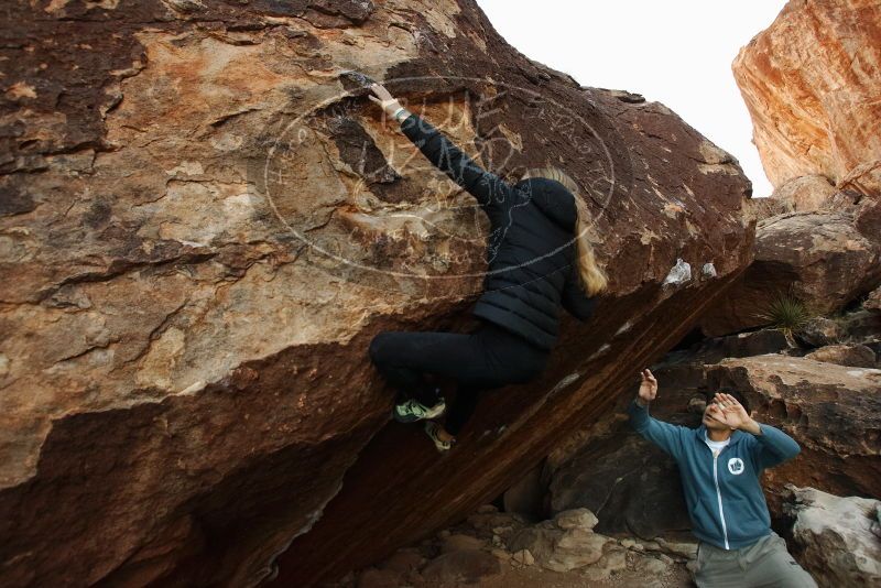 Bouldering in Hueco Tanks on 12/22/2018 with Blue Lizard Climbing and Yoga

Filename: SRM_20181222_1058040.jpg
Aperture: f/5.0
Shutter Speed: 1/400
Body: Canon EOS-1D Mark II
Lens: Canon EF 16-35mm f/2.8 L