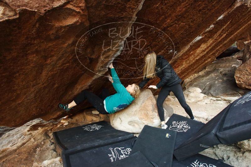 Bouldering in Hueco Tanks on 12/22/2018 with Blue Lizard Climbing and Yoga

Filename: SRM_20181222_1100260.jpg
Aperture: f/4.0
Shutter Speed: 1/125
Body: Canon EOS-1D Mark II
Lens: Canon EF 16-35mm f/2.8 L