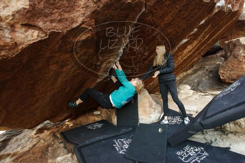 Bouldering in Hueco Tanks on 12/22/2018 with Blue Lizard Climbing and Yoga

Filename: SRM_20181222_1104180.jpg
Aperture: f/4.0
Shutter Speed: 1/125
Body: Canon EOS-1D Mark II
Lens: Canon EF 16-35mm f/2.8 L