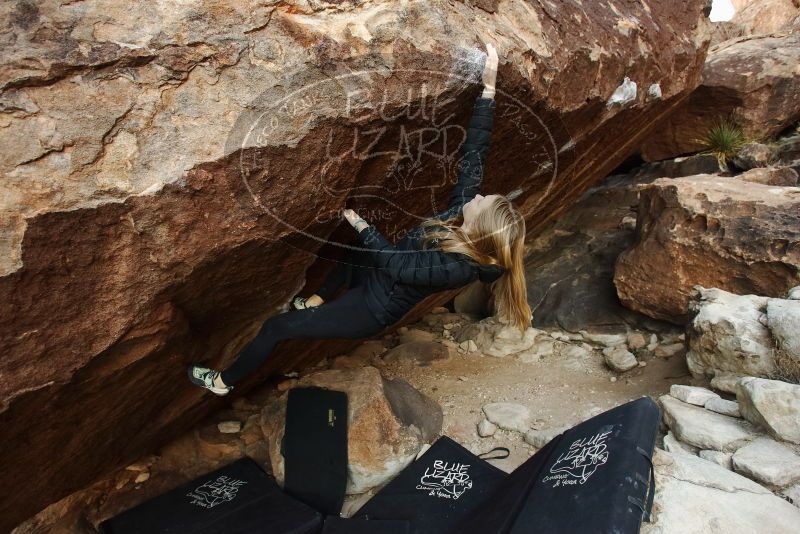 Bouldering in Hueco Tanks on 12/22/2018 with Blue Lizard Climbing and Yoga

Filename: SRM_20181222_1106280.jpg
Aperture: f/4.0
Shutter Speed: 1/250
Body: Canon EOS-1D Mark II
Lens: Canon EF 16-35mm f/2.8 L