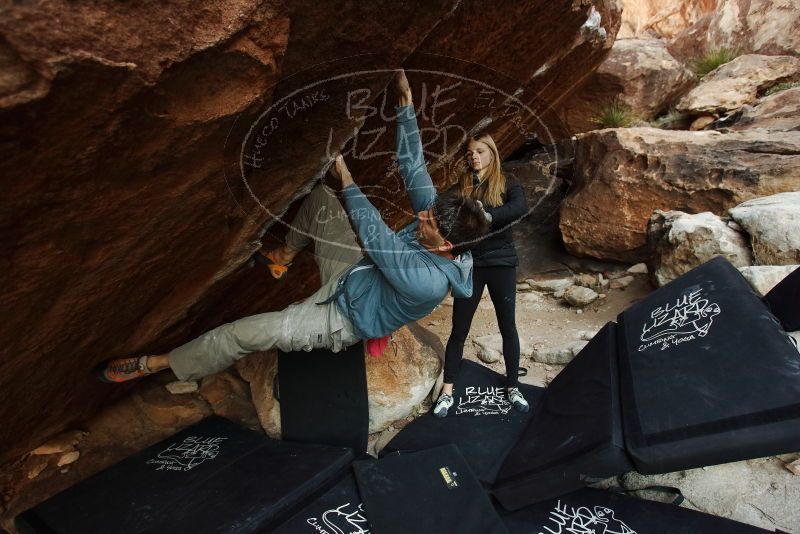 Bouldering in Hueco Tanks on 12/22/2018 with Blue Lizard Climbing and Yoga

Filename: SRM_20181222_1108500.jpg
Aperture: f/4.0
Shutter Speed: 1/250
Body: Canon EOS-1D Mark II
Lens: Canon EF 16-35mm f/2.8 L