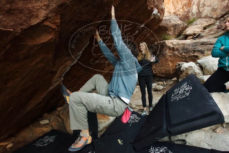 Bouldering in Hueco Tanks on 12/22/2018 with Blue Lizard Climbing and Yoga

Filename: SRM_20181222_1108591.jpg
Aperture: f/4.0
Shutter Speed: 1/250
Body: Canon EOS-1D Mark II
Lens: Canon EF 16-35mm f/2.8 L