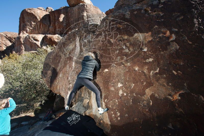 Bouldering in Hueco Tanks on 12/22/2018 with Blue Lizard Climbing and Yoga

Filename: SRM_20181222_1327250.jpg
Aperture: f/5.6
Shutter Speed: 1/250
Body: Canon EOS-1D Mark II
Lens: Canon EF 16-35mm f/2.8 L