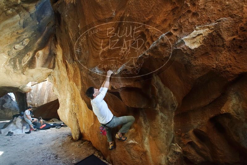 Bouldering in Hueco Tanks on 12/22/2018 with Blue Lizard Climbing and Yoga

Filename: SRM_20181222_1502530.jpg
Aperture: f/4.0
Shutter Speed: 1/125
Body: Canon EOS-1D Mark II
Lens: Canon EF 16-35mm f/2.8 L