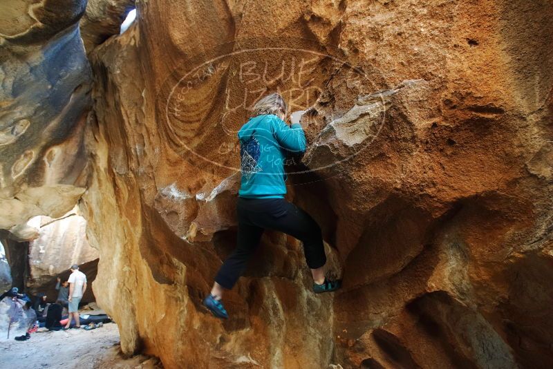 Bouldering in Hueco Tanks on 12/22/2018 with Blue Lizard Climbing and Yoga

Filename: SRM_20181222_1514500.jpg
Aperture: f/4.0
Shutter Speed: 1/80
Body: Canon EOS-1D Mark II
Lens: Canon EF 16-35mm f/2.8 L