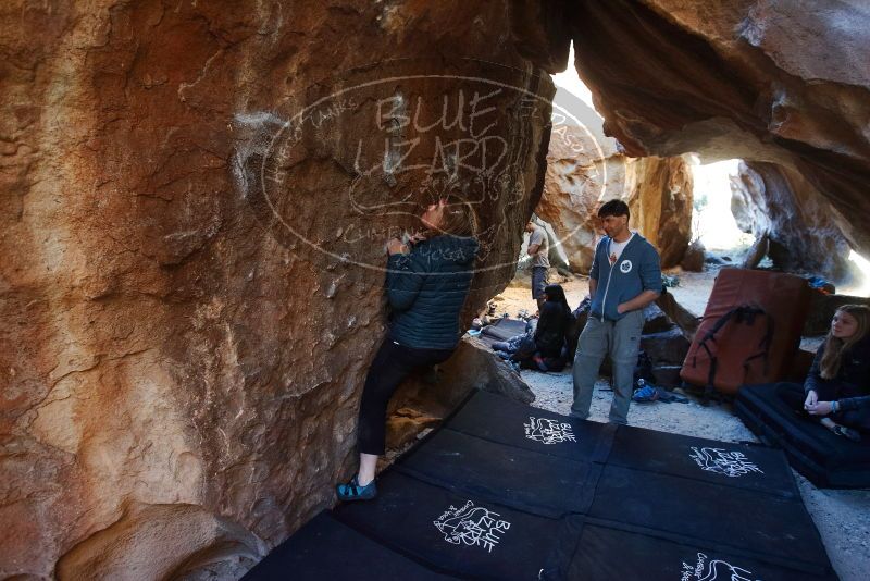 Bouldering in Hueco Tanks on 12/22/2018 with Blue Lizard Climbing and Yoga

Filename: SRM_20181222_1555400.jpg
Aperture: f/4.0
Shutter Speed: 1/125
Body: Canon EOS-1D Mark II
Lens: Canon EF 16-35mm f/2.8 L