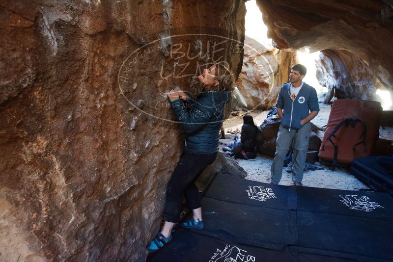 Bouldering in Hueco Tanks on 12/22/2018 with Blue Lizard Climbing and Yoga

Filename: SRM_20181222_1556360.jpg
Aperture: f/4.0
Shutter Speed: 1/100
Body: Canon EOS-1D Mark II
Lens: Canon EF 16-35mm f/2.8 L