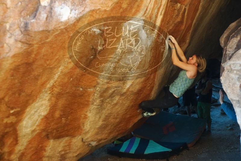 Bouldering in Hueco Tanks on 12/22/2018 with Blue Lizard Climbing and Yoga

Filename: SRM_20181222_1731110.jpg
Aperture: f/2.8
Shutter Speed: 1/400
Body: Canon EOS-1D Mark II
Lens: Canon EF 50mm f/1.8 II