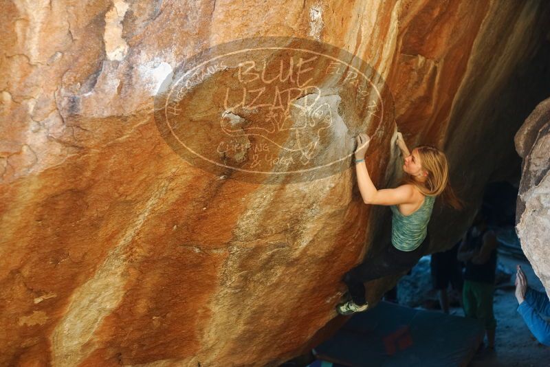 Bouldering in Hueco Tanks on 12/22/2018 with Blue Lizard Climbing and Yoga

Filename: SRM_20181222_1731130.jpg
Aperture: f/2.8
Shutter Speed: 1/400
Body: Canon EOS-1D Mark II
Lens: Canon EF 50mm f/1.8 II