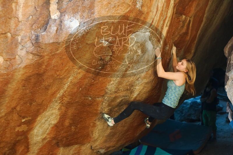 Bouldering in Hueco Tanks on 12/22/2018 with Blue Lizard Climbing and Yoga

Filename: SRM_20181222_1731160.jpg
Aperture: f/2.8
Shutter Speed: 1/400
Body: Canon EOS-1D Mark II
Lens: Canon EF 50mm f/1.8 II