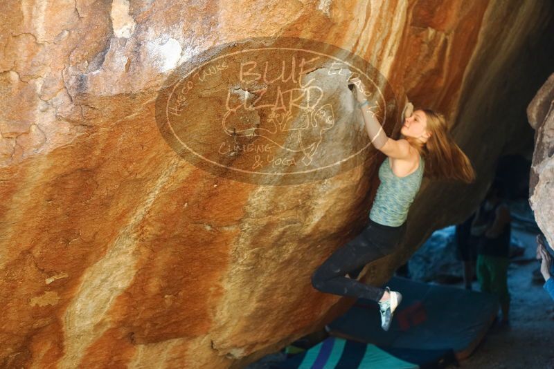 Bouldering in Hueco Tanks on 12/22/2018 with Blue Lizard Climbing and Yoga

Filename: SRM_20181222_1731170.jpg
Aperture: f/2.8
Shutter Speed: 1/400
Body: Canon EOS-1D Mark II
Lens: Canon EF 50mm f/1.8 II