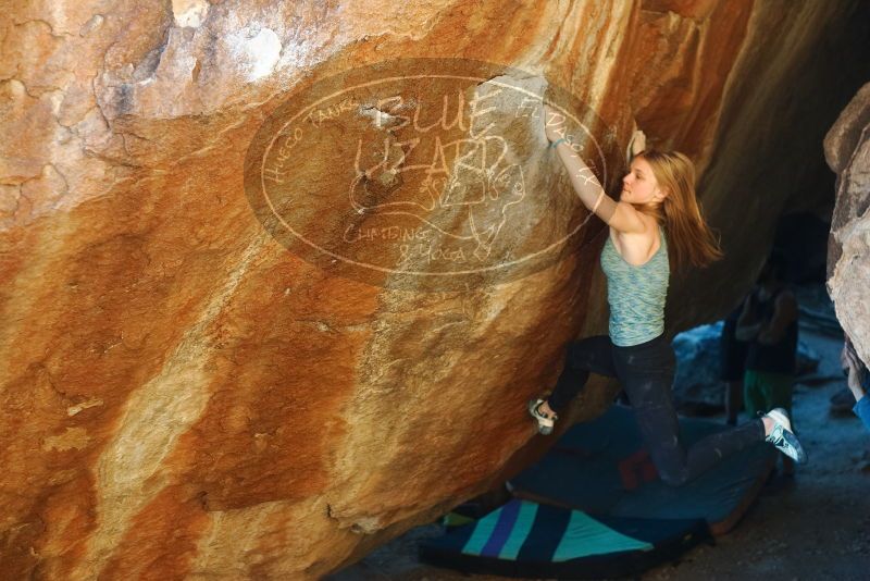 Bouldering in Hueco Tanks on 12/22/2018 with Blue Lizard Climbing and Yoga

Filename: SRM_20181222_1731181.jpg
Aperture: f/2.8
Shutter Speed: 1/400
Body: Canon EOS-1D Mark II
Lens: Canon EF 50mm f/1.8 II