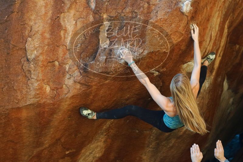 Bouldering in Hueco Tanks on 12/22/2018 with Blue Lizard Climbing and Yoga

Filename: SRM_20181222_1731390.jpg
Aperture: f/3.5
Shutter Speed: 1/500
Body: Canon EOS-1D Mark II
Lens: Canon EF 50mm f/1.8 II