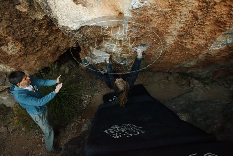 Bouldering in Hueco Tanks on 12/22/2018 with Blue Lizard Climbing and Yoga

Filename: SRM_20181222_1751410.jpg
Aperture: f/4.0
Shutter Speed: 1/250
Body: Canon EOS-1D Mark II
Lens: Canon EF 16-35mm f/2.8 L