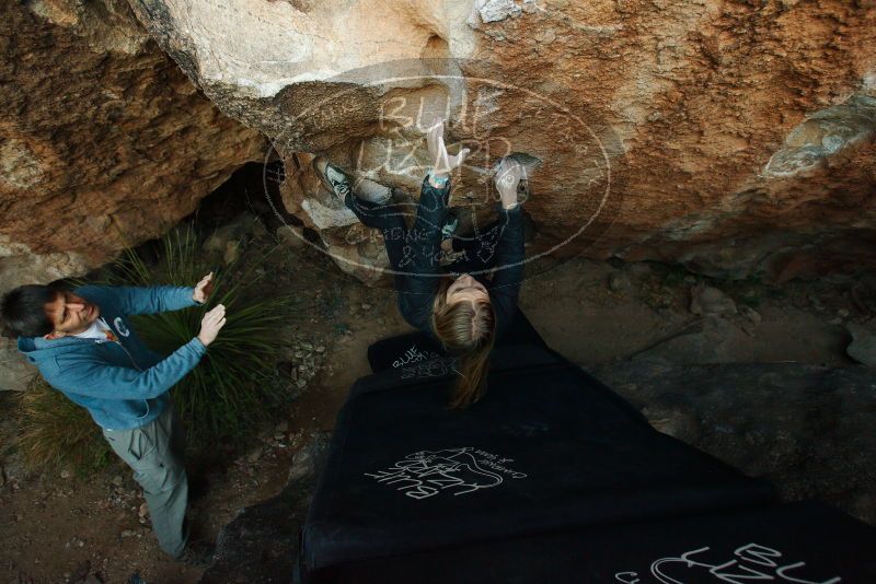 Bouldering in Hueco Tanks on 12/22/2018 with Blue Lizard Climbing and Yoga

Filename: SRM_20181222_1751440.jpg
Aperture: f/4.0
Shutter Speed: 1/250
Body: Canon EOS-1D Mark II
Lens: Canon EF 16-35mm f/2.8 L