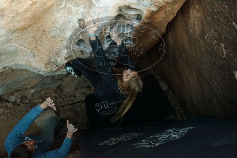 Bouldering in Hueco Tanks on 12/22/2018 with Blue Lizard Climbing and Yoga

Filename: SRM_20181222_1757050.jpg
Aperture: f/4.0
Shutter Speed: 1/160
Body: Canon EOS-1D Mark II
Lens: Canon EF 16-35mm f/2.8 L