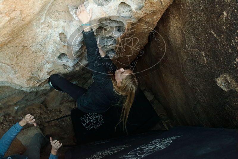 Bouldering in Hueco Tanks on 12/22/2018 with Blue Lizard Climbing and Yoga

Filename: SRM_20181222_1757060.jpg
Aperture: f/4.0
Shutter Speed: 1/160
Body: Canon EOS-1D Mark II
Lens: Canon EF 16-35mm f/2.8 L